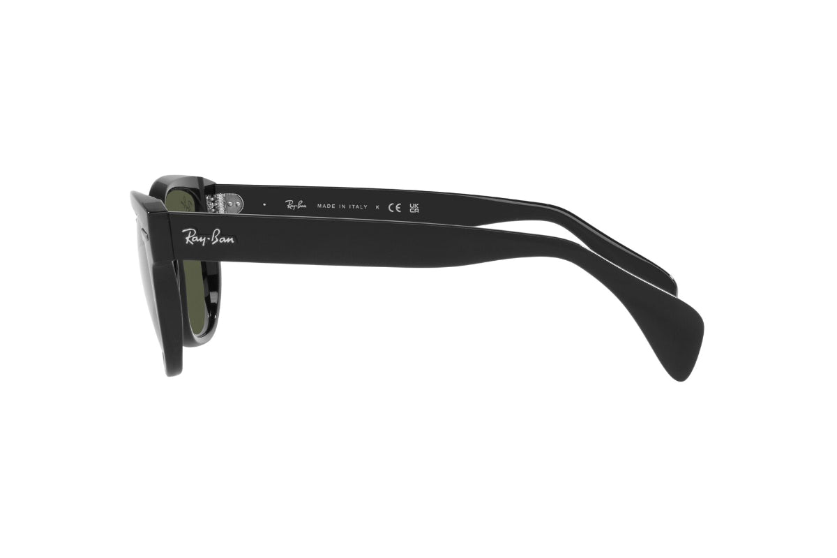 Ray-Ban Lentes de Sol RB0880S