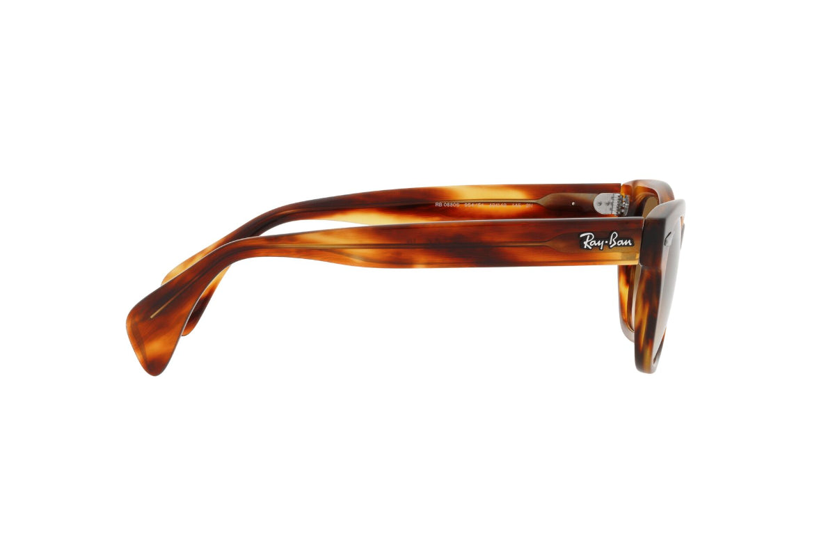 Ray-Ban Lentes de Sol RB0880S