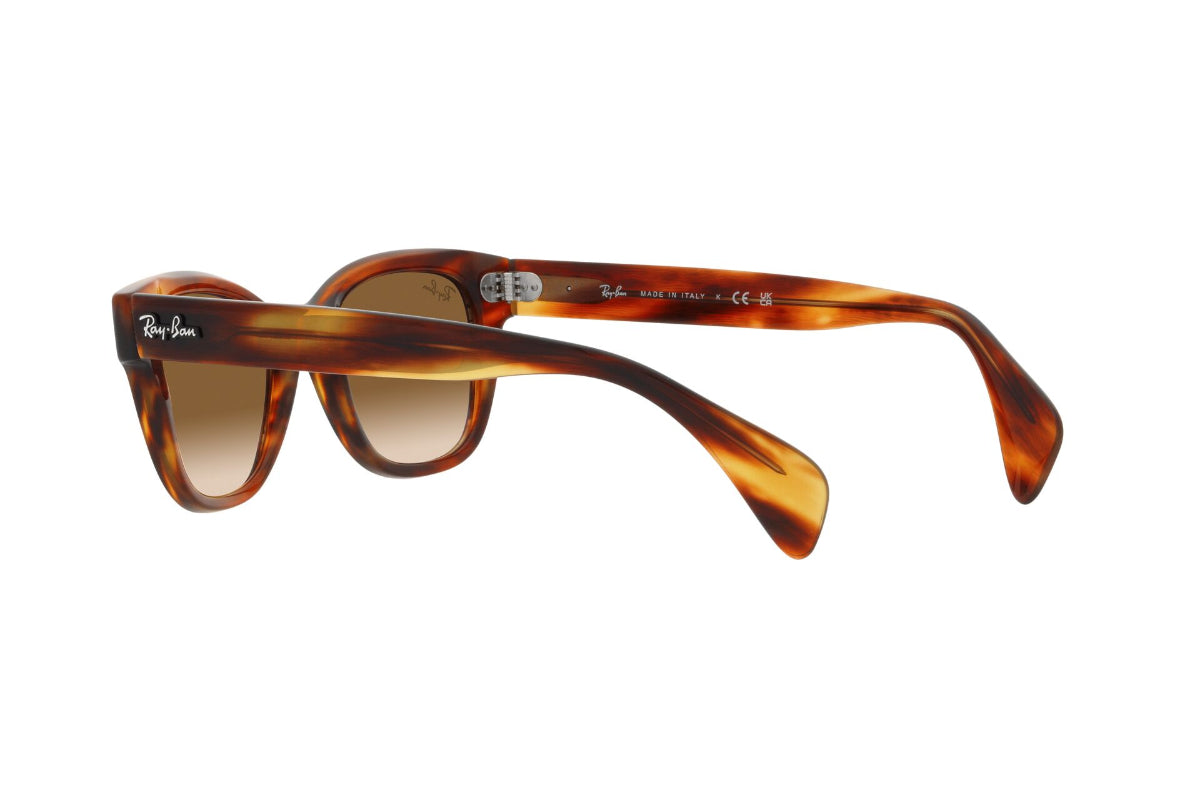 Ray-Ban Lentes de Sol RB0880S