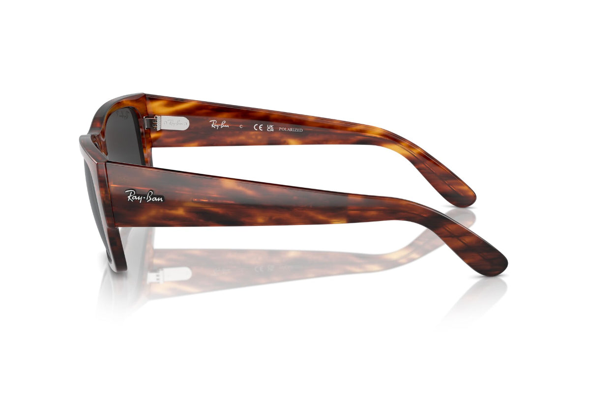 Ray-Ban Lentes de Sol Carlos Polarizados RB0947S