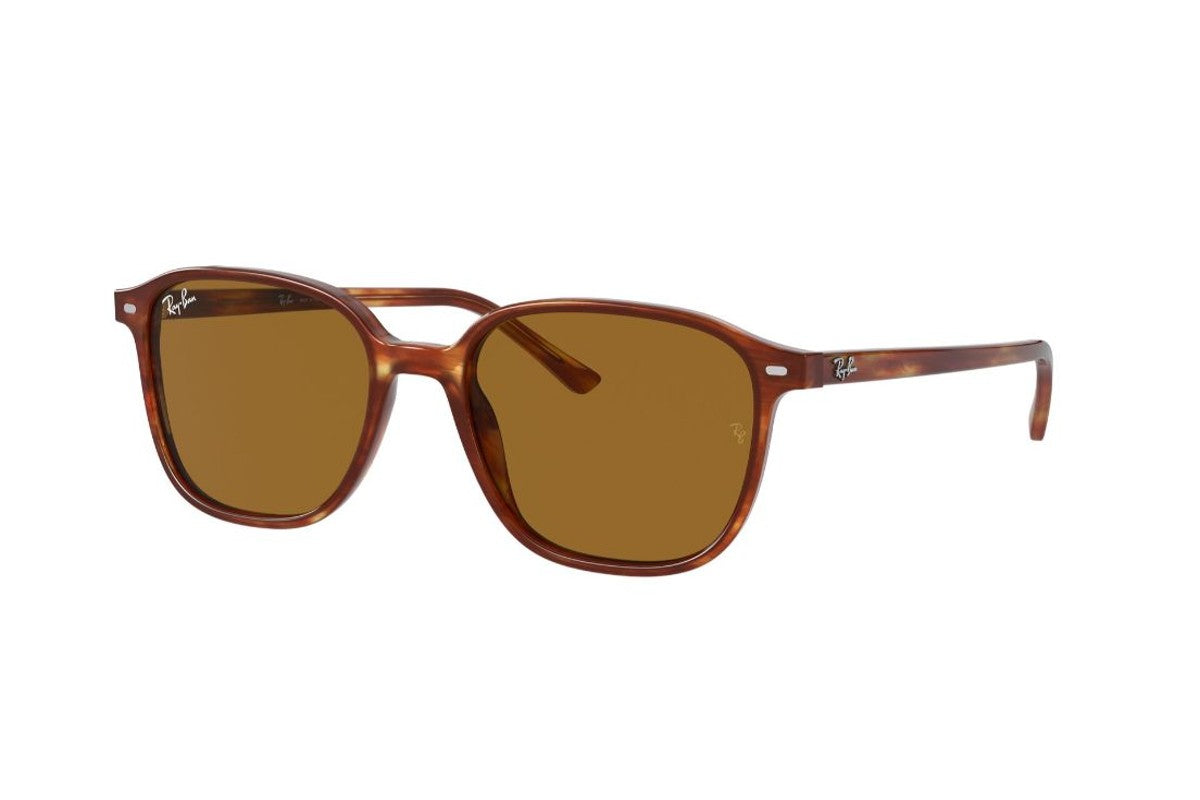 Ray-Ban Lentes de Sol Leonard RB2193