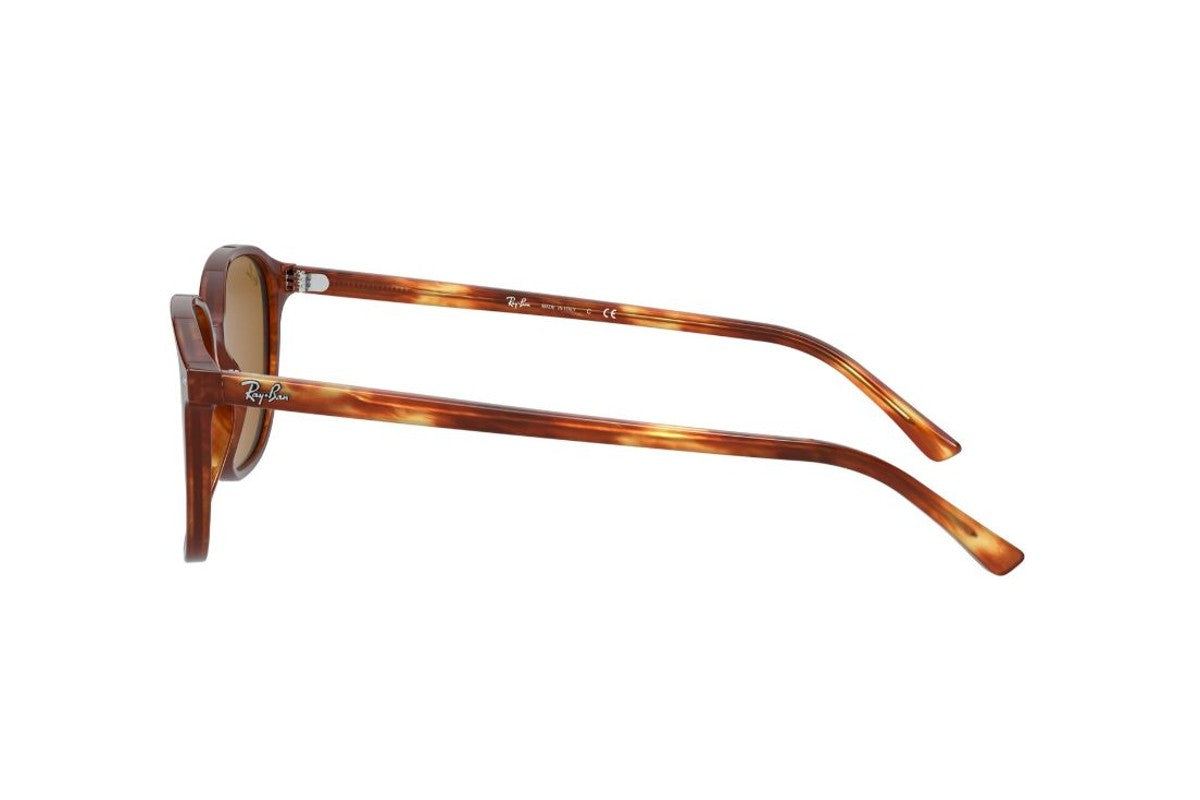 Ray-Ban Lentes de Sol Leonard RB2193