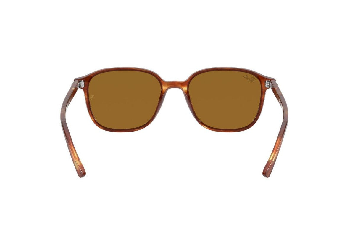 Ray-Ban Lentes de Sol Leonard RB2193