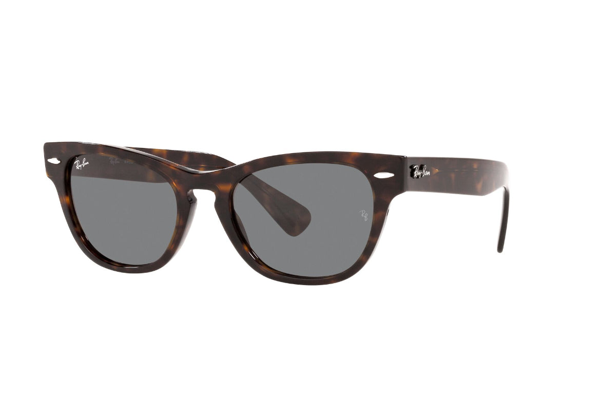 Lentes de Sol Laramie Tortoise Ray Ban