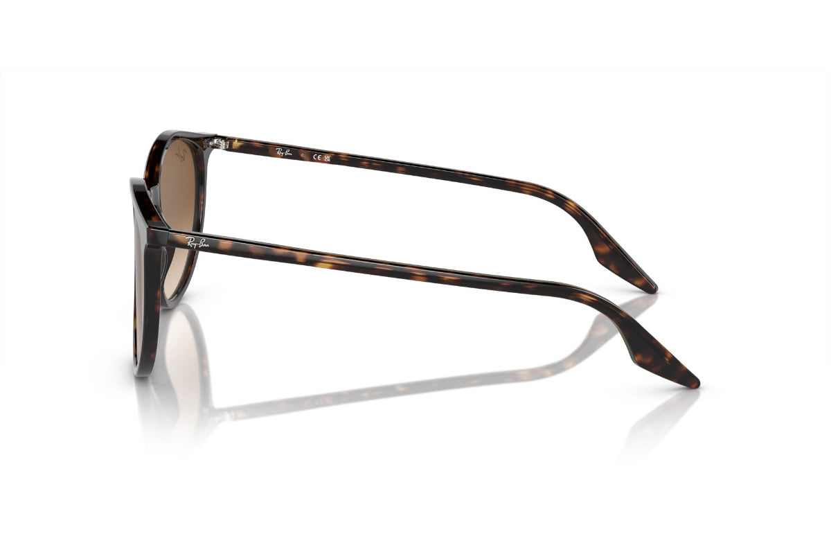 Ray-Ban Lentes de Sol RB2204