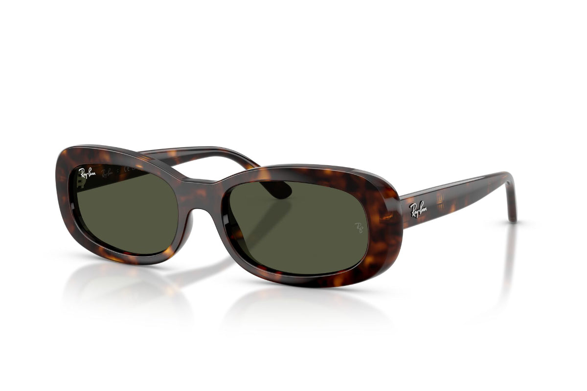 Ray-Ban Lentes de Sol The Bold RB2221