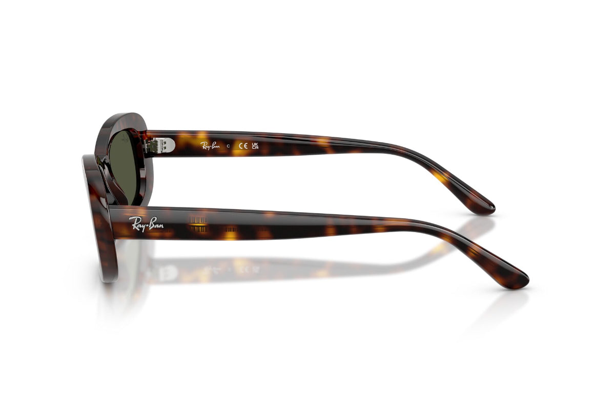 Ray-Ban Lentes de Sol The Bold RB2221