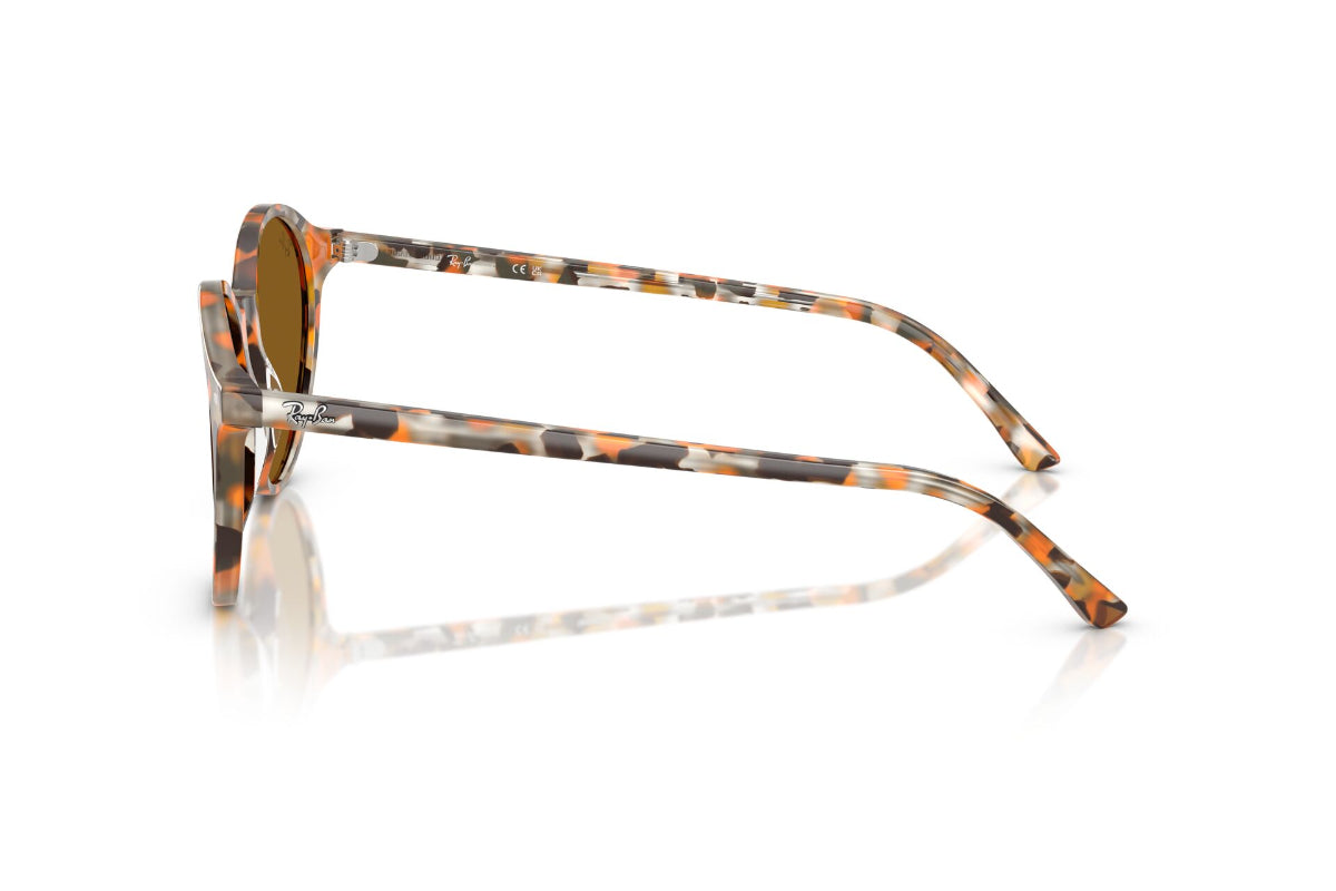 Ray-Ban Lentes de Sol RB2230