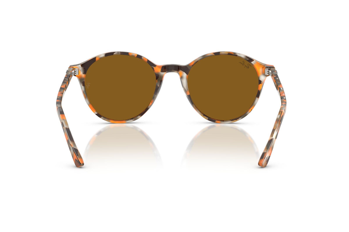 Ray-Ban Lentes de Sol RB2230
