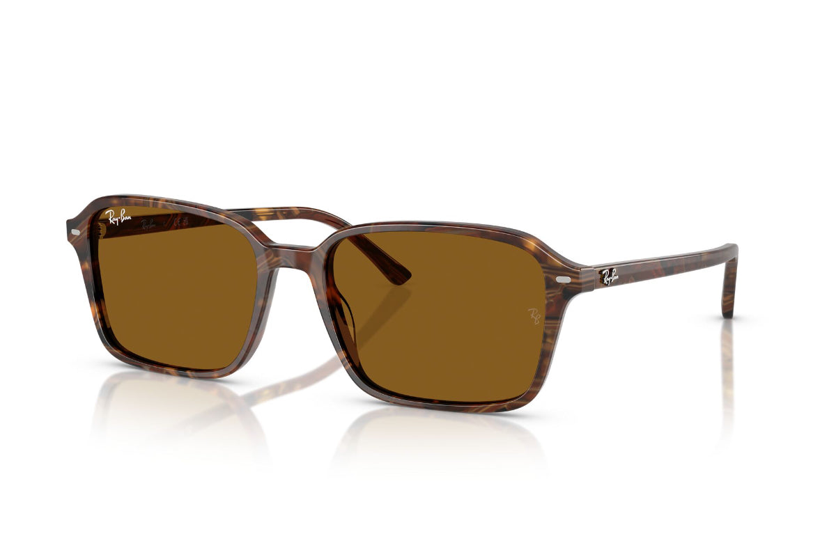 Ray-Ban Lentes de Sol Raimond RB2231