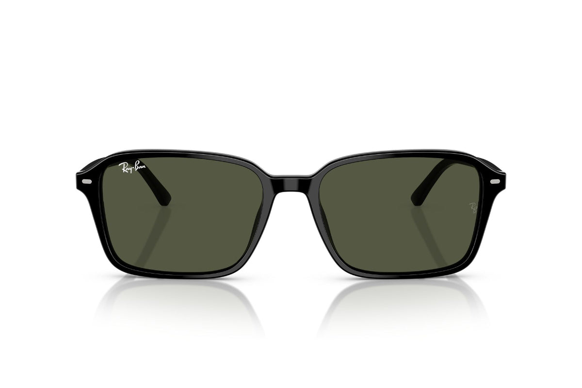 Ray-Ban Lentes de Sol Raimond RB2231
