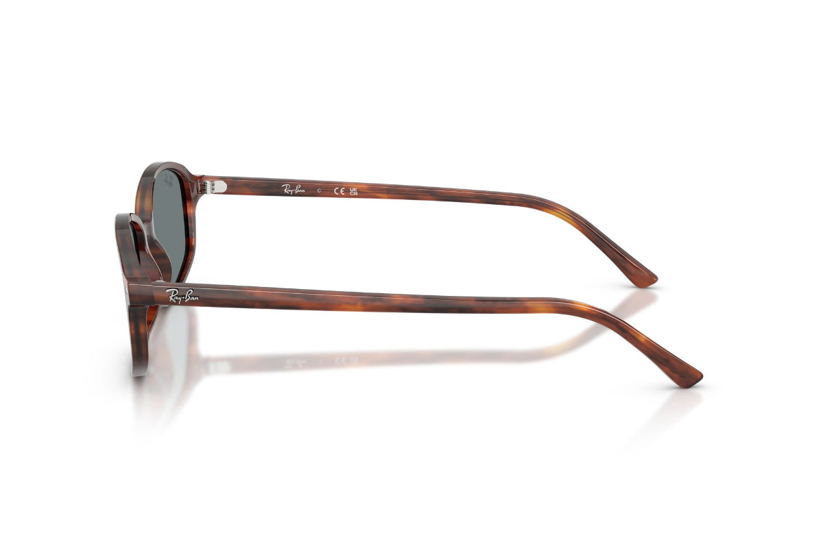 Ray-Ban Lentes de Sol RB2232