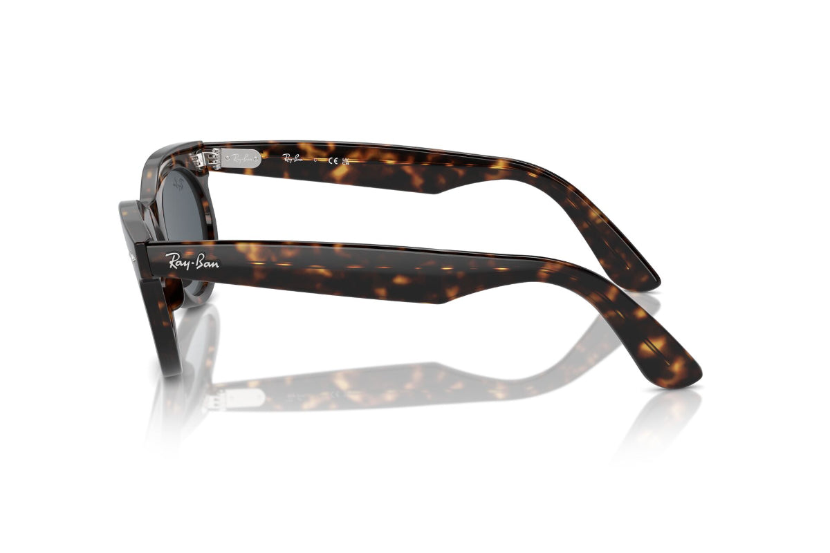 Ray-Ban Lentes de Sol Wayfarer Oval RB2242