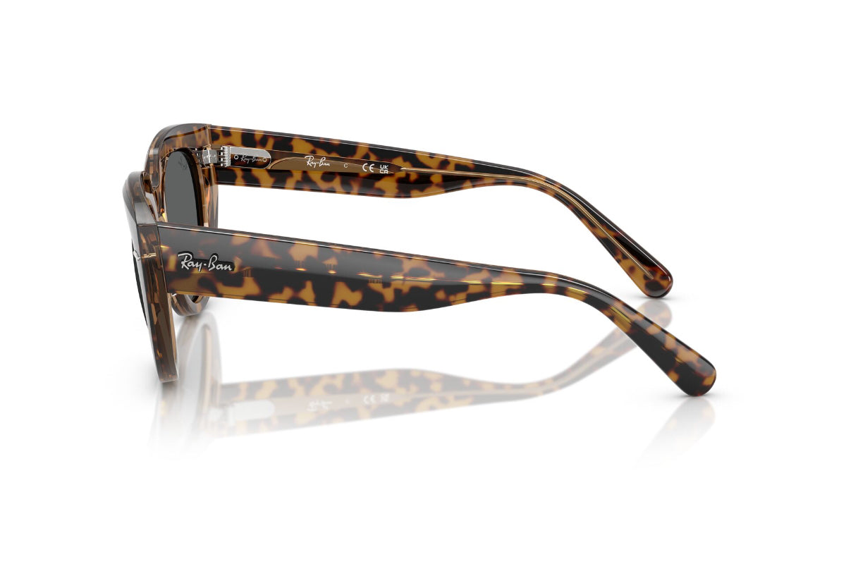 Ray-Ban Lentes de Sol Doreen RB2286