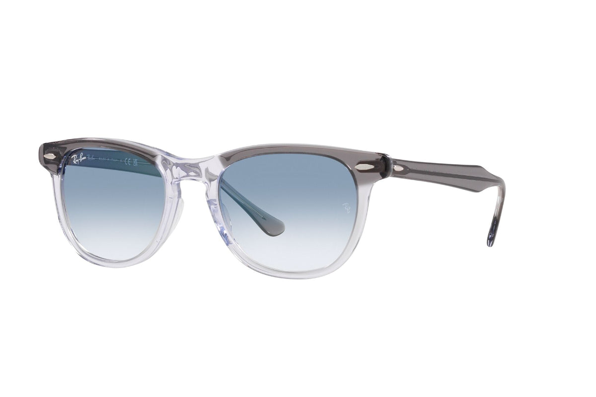 Ray-Ban Lentes de Sol Eagleeye RB2398