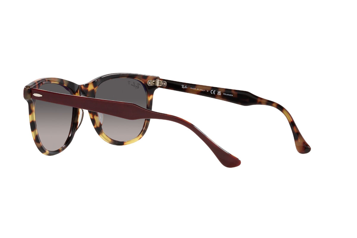 Ray-Ban Lentes de Sol Eagleeye Polarizados RB2398