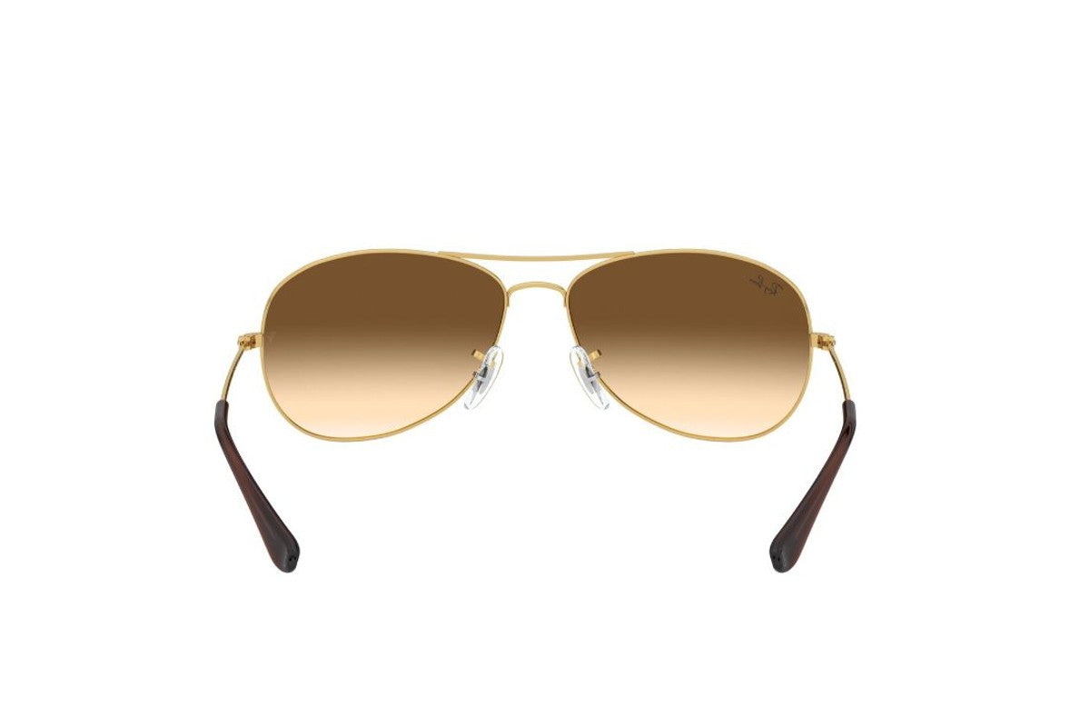 Ray-Ban Lentes de Sol Cockpit RB3362