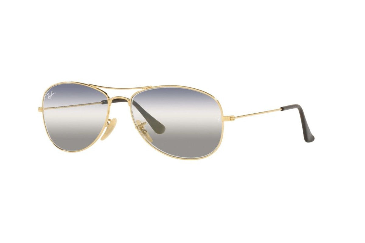 Ray-Ban Lentes de Sol Cockpit RB3362