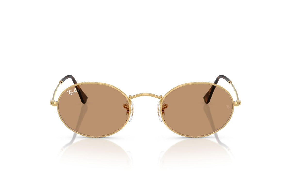 Ray-Ban Lentes de Sol Oval RB3547