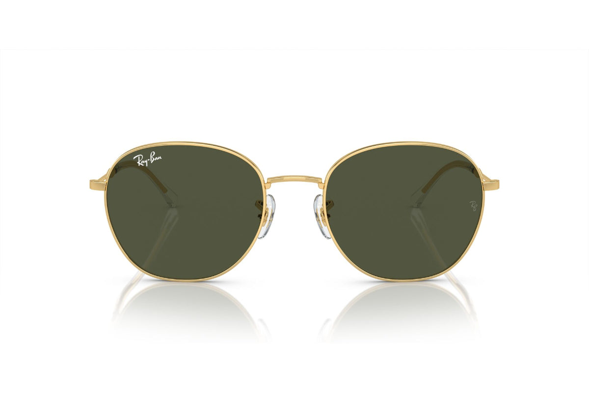 Ray-Ban Lentes de Sol RB3809