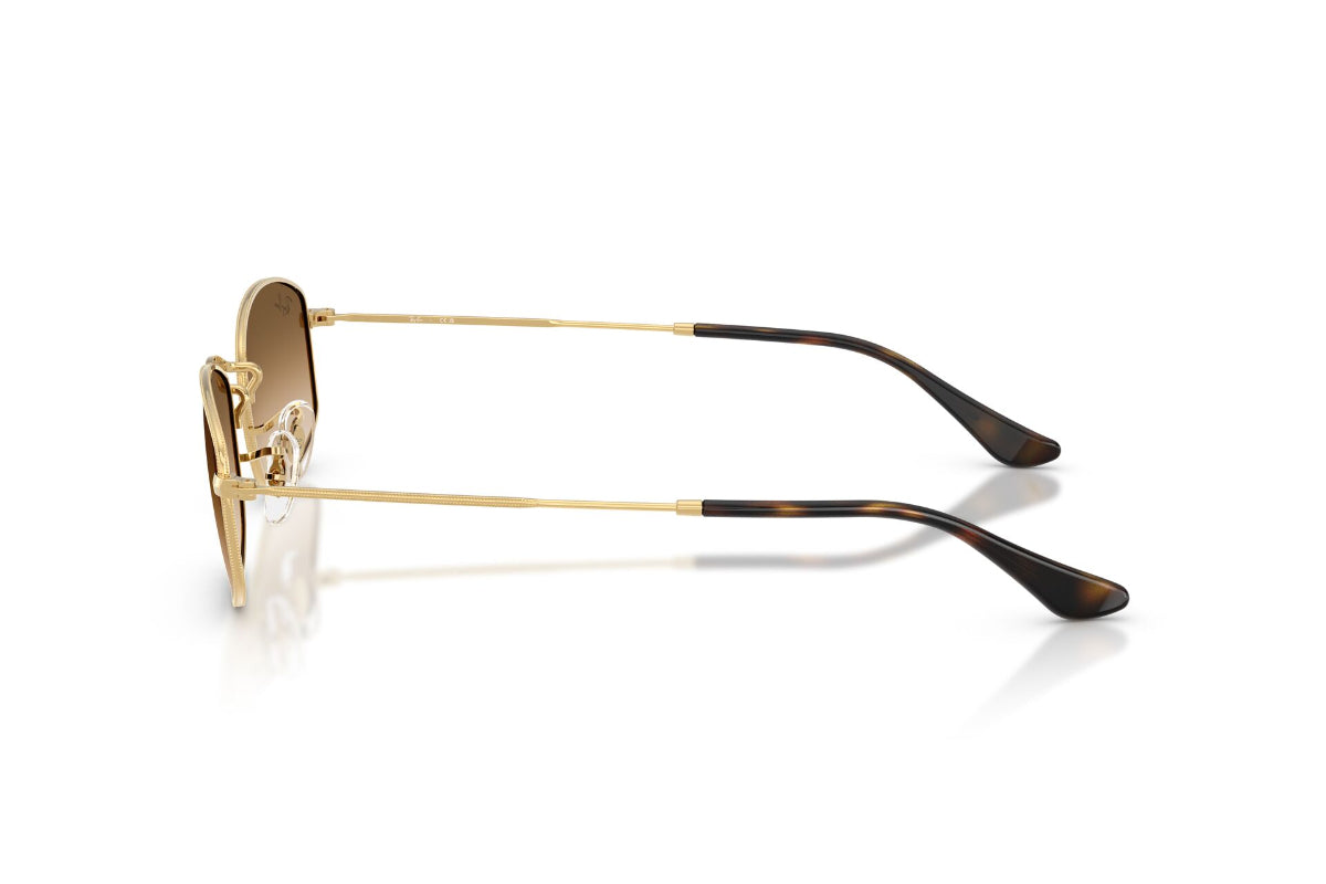 Ray-Ban Lentes de Sol Degradados RB3832