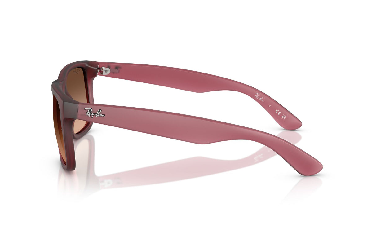 Ray-Ban Lentes de Sol Justin RB4165