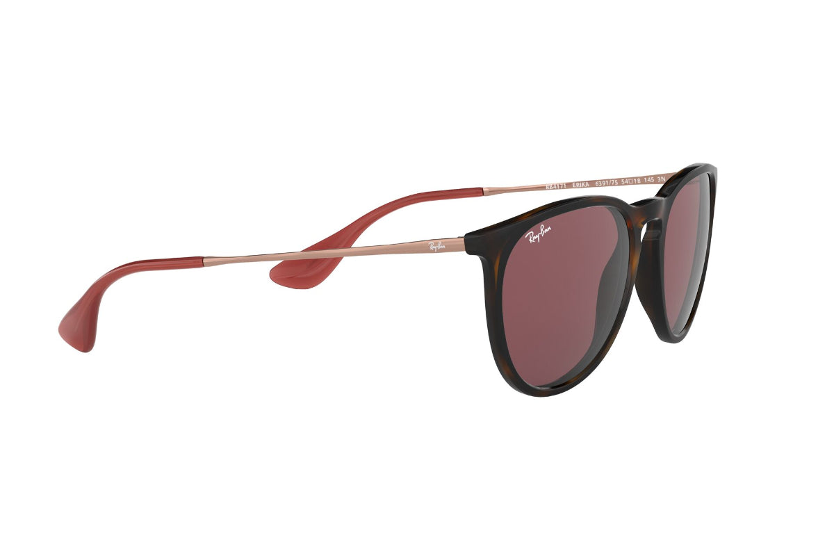 Lentes de Sol Erika Havana Dark Violet Ray-Ban