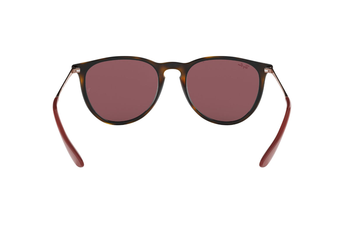 Lentes de Sol Erika Havana Dark Violet Ray-Ban