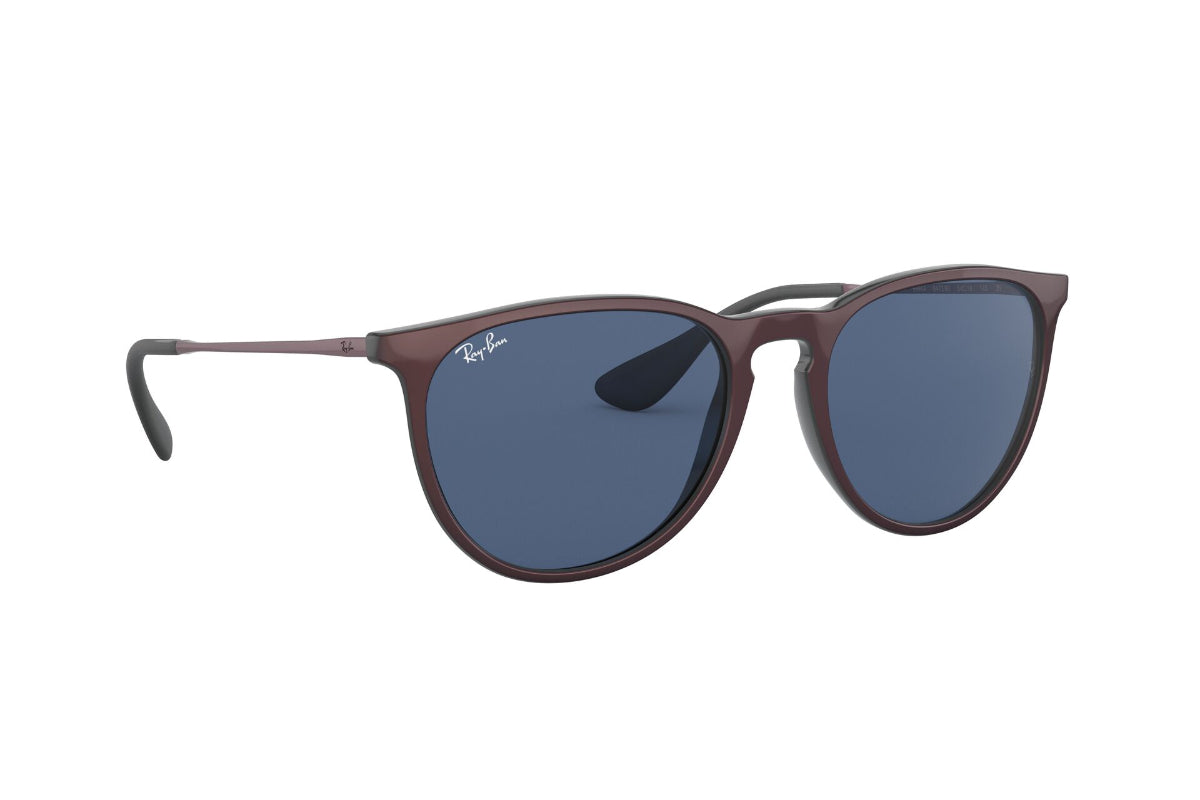 Lentes de Sol Erika Metallic Cipria On Black Ray-Ban