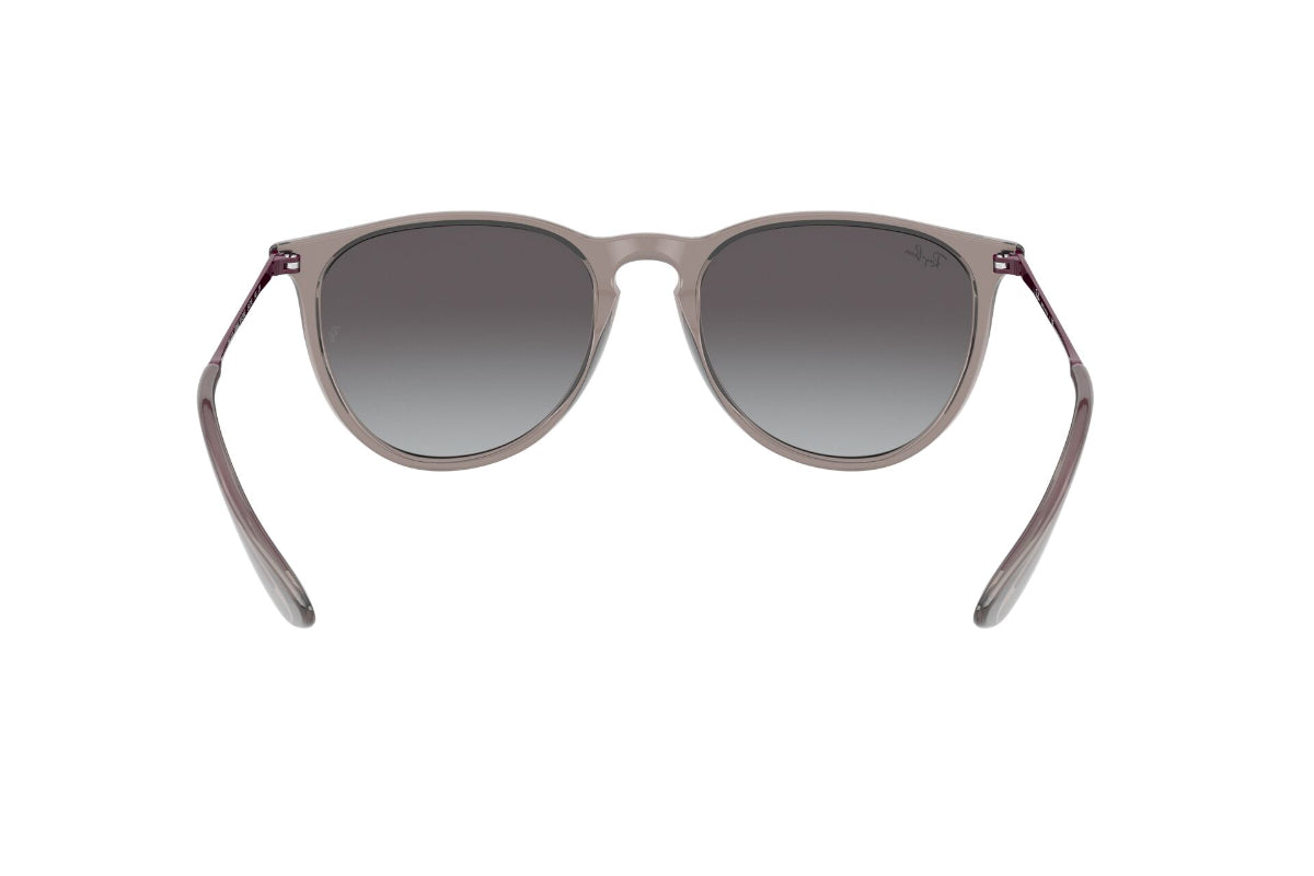 Lentes de Sol Erika Transparent Grey Ray-Ban