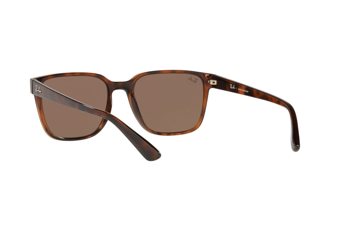 Lentes de Sol Light Havana Ray-Ban