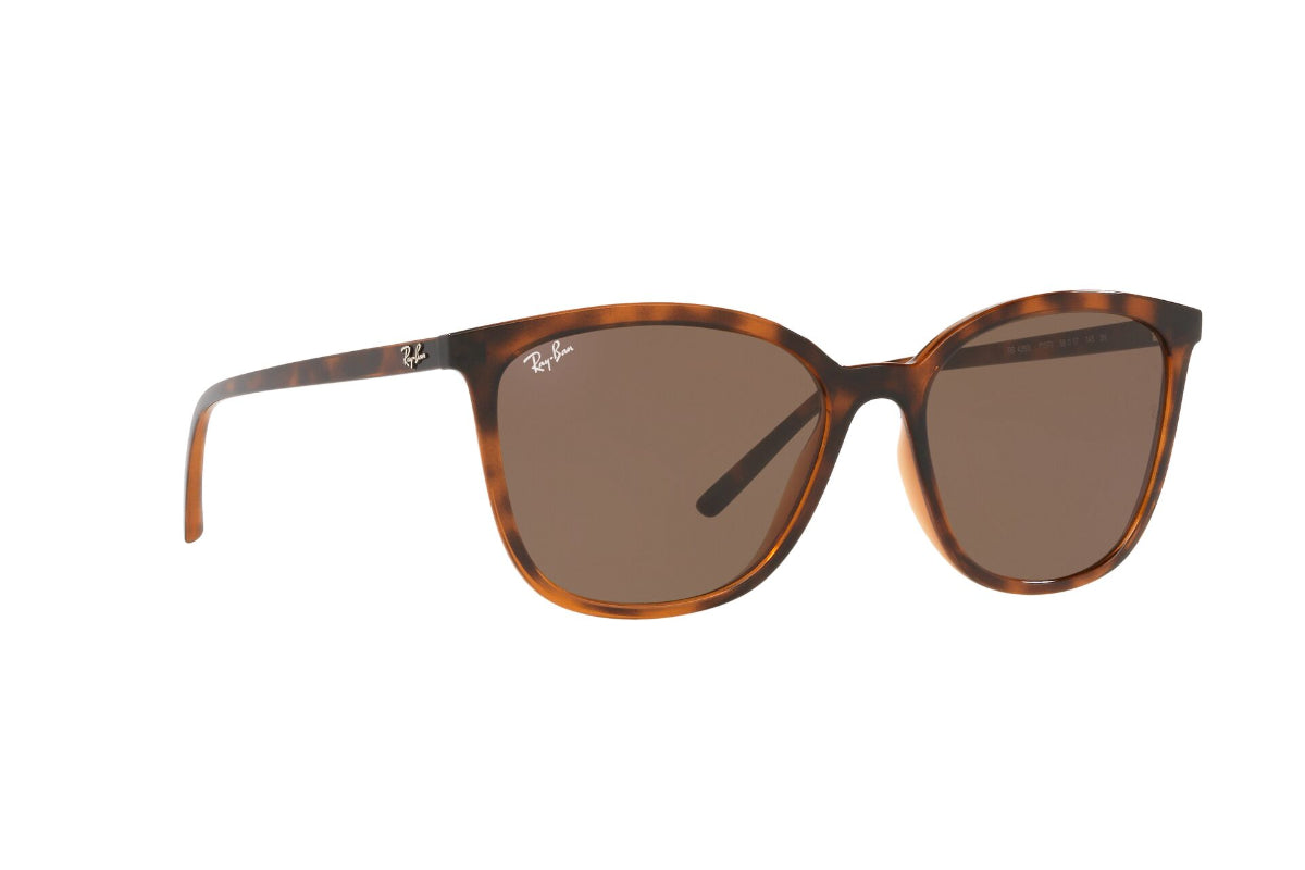 Lentes de Sol Dark Havana Ray Ban