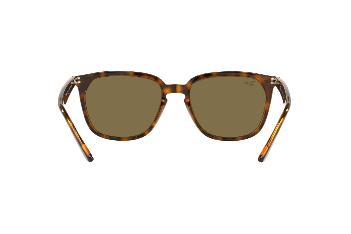 Lentes de Sol Havana Ray-Ban