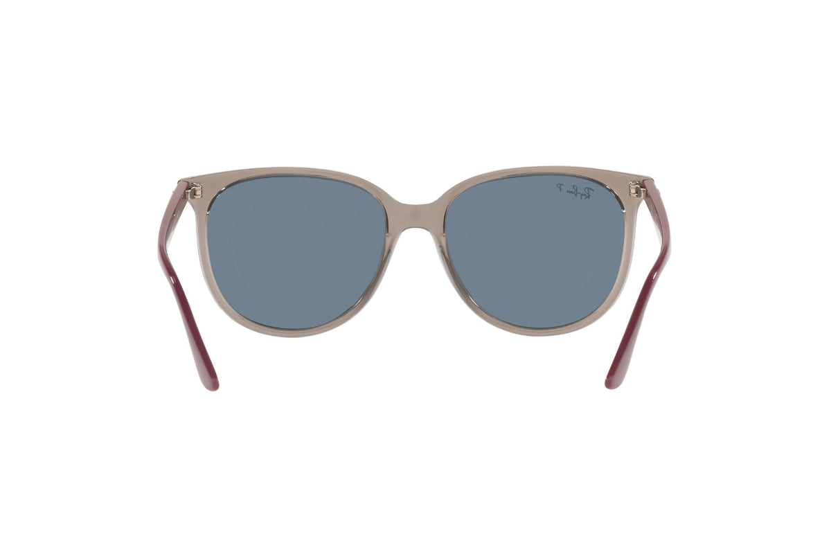 Ray-Ban Lentes de Sol RB4378