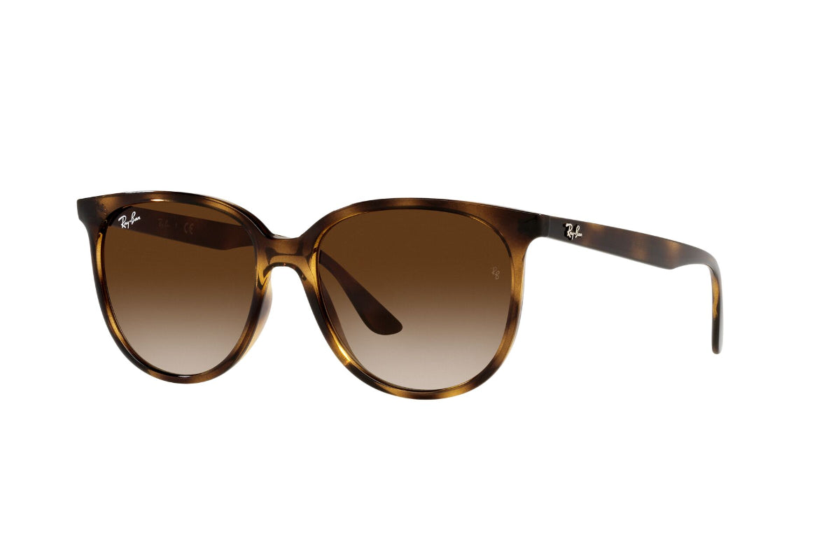 Ray-Ban Lentes de Sol RB4378