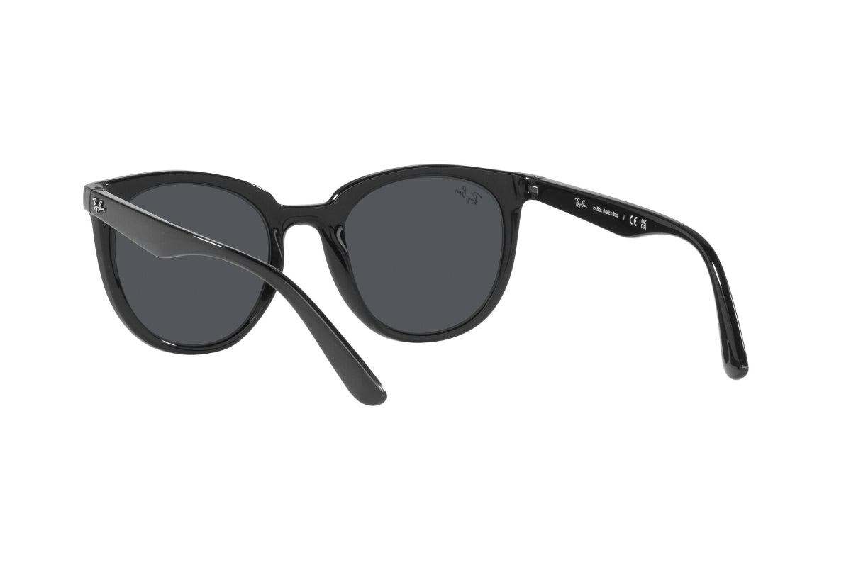 Ray-Ban Lentes de Sol RB4383L