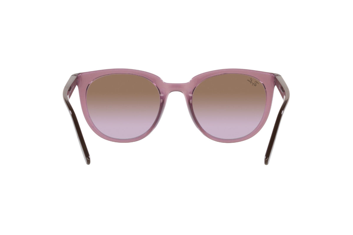 Ray-Ban Lentes de Sol RB4383L