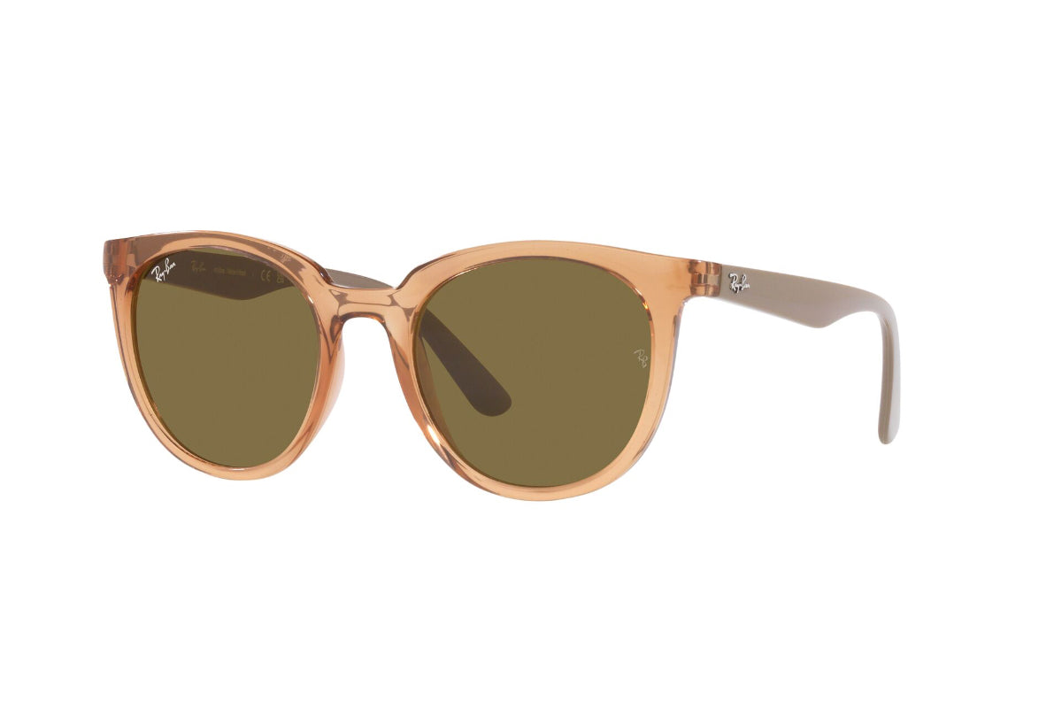 Ray-Ban Lentes de Sol RB4383L