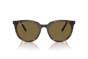 Ray-Ban Lentes de Sol RB4383L