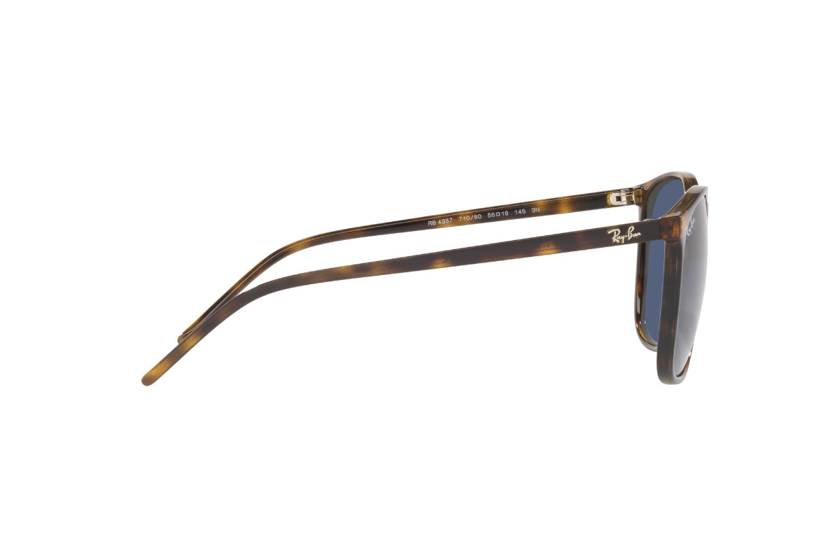 Ray-Ban Lentes de Sol RB4387