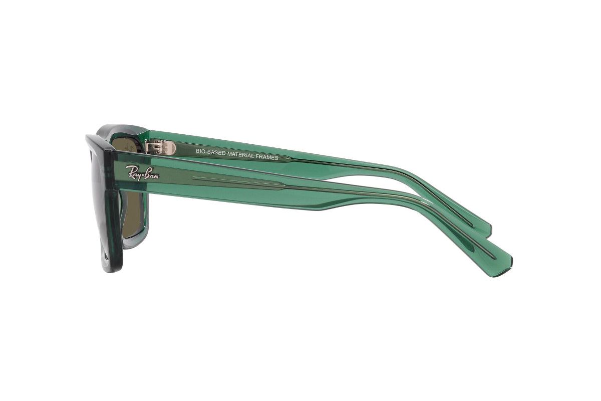 Ray-Ban Lentes de Sol Warren RB4396