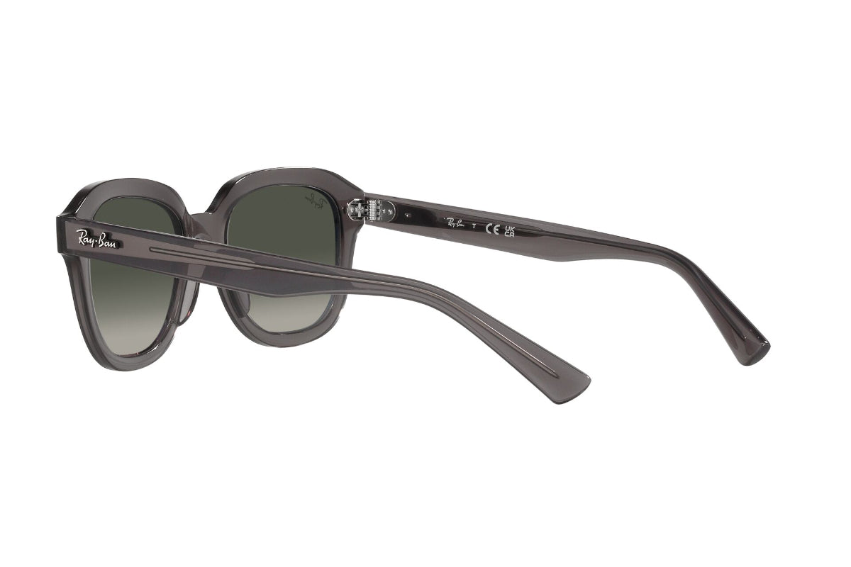 Ray-Ban Lentes de Sol Erik RB4398