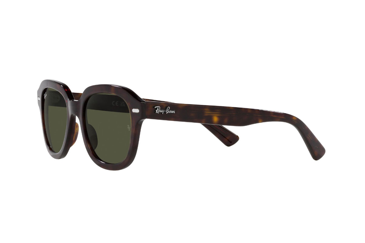 Ray-Ban Lentes de Sol Erik RB4398
