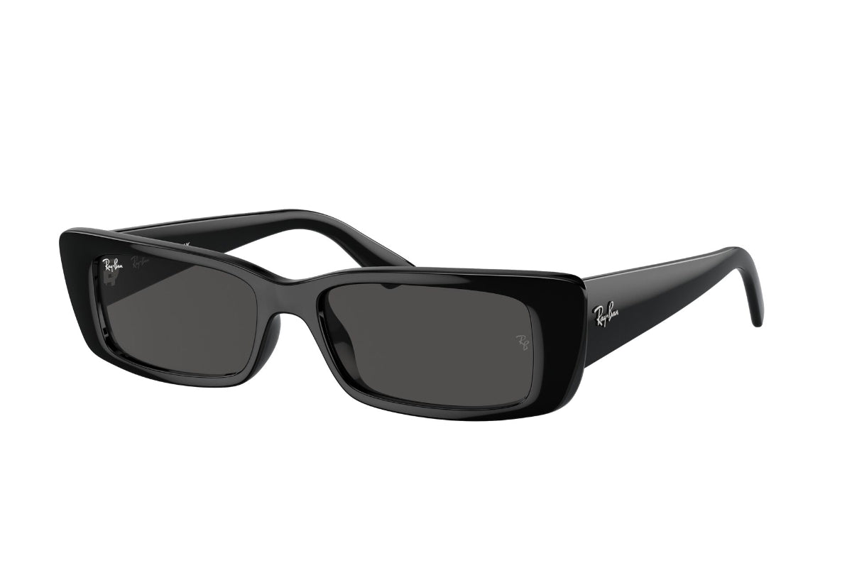 Ray-Ban Lentes de Sol Teru RB4425