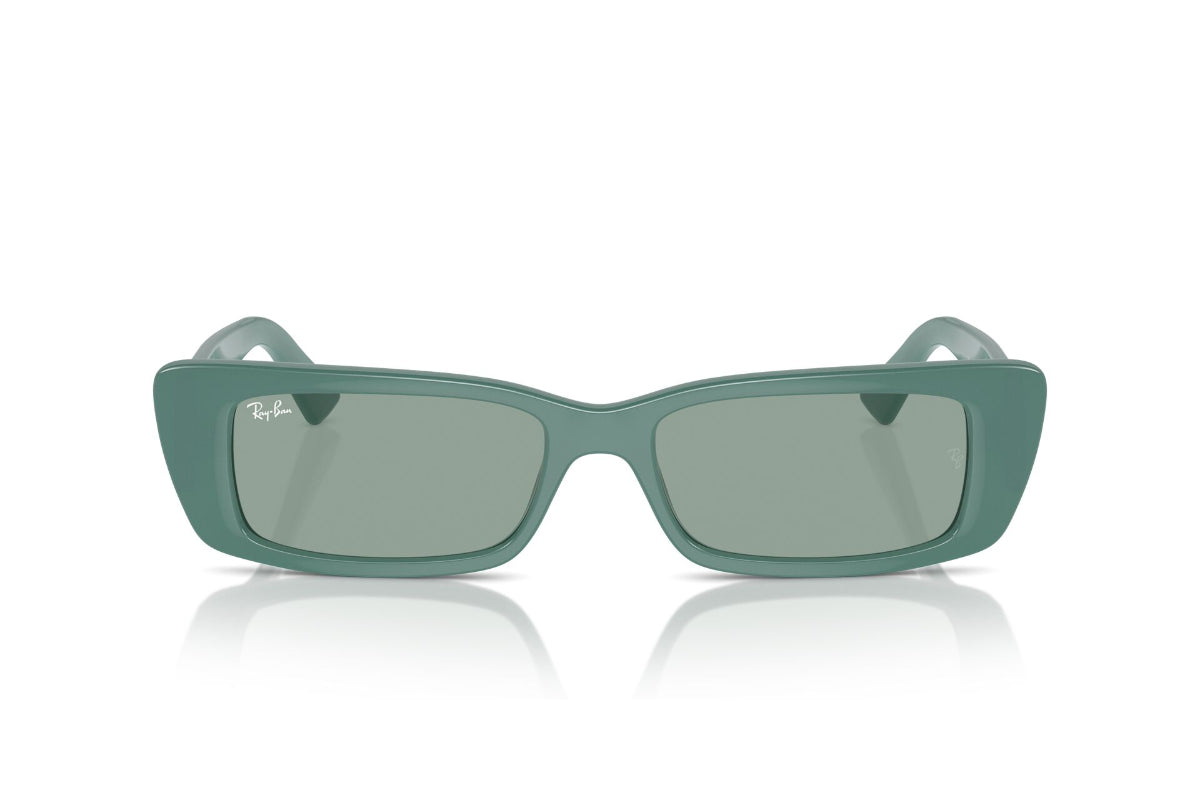 Ray-Ban Lentes de Sol Teru RB4425