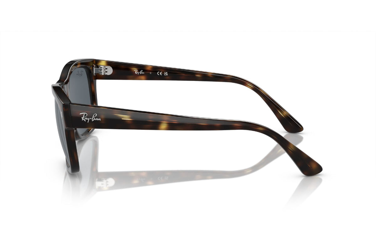 Ray-Ban Lentes de Sol RB4428