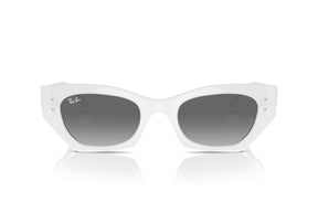 Ray-Ban Lentes de Sol Zena Degradados RB4430