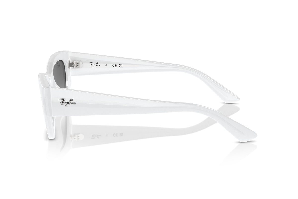 Ray-Ban Lentes de Sol Zena Degradados RB4430