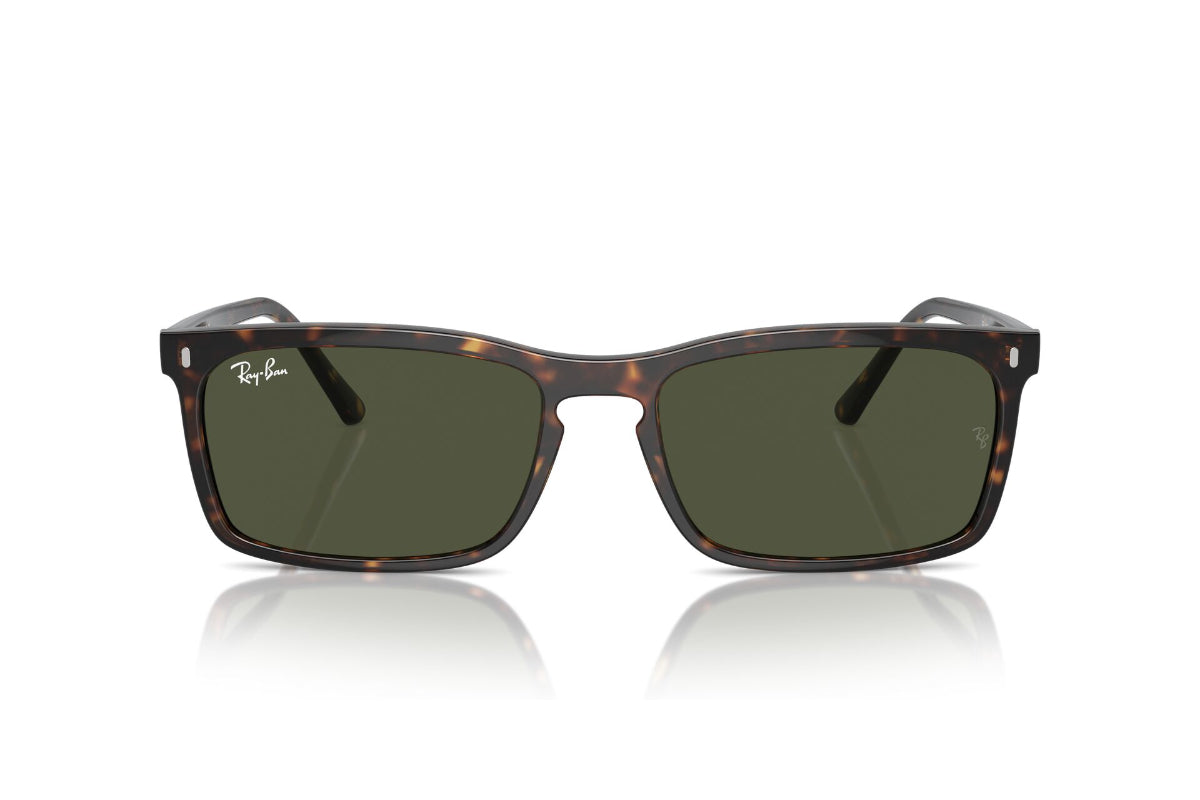 Ray-Ban Lentes de Sol RB4435