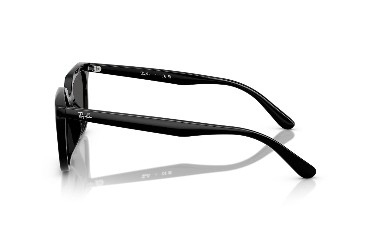 Ray-Ban Lentes de Sol RB4439D